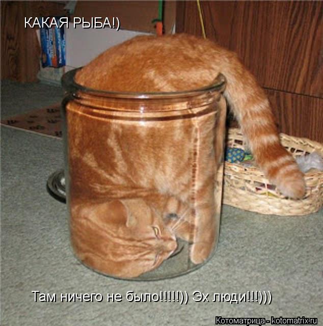 КАКАЯ РЫБА!) КАКАЯ РЫБА!) Там ничего не было!!!!!)) Эх люди!!!)))... Котоматрица: КАКАЯ РЫБА!) КАКАЯ РЫБА!) Там ничего не было!!!!!)) Эх люди!!!)))