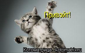 Привэйт!... Котоматрица: Привэйт!