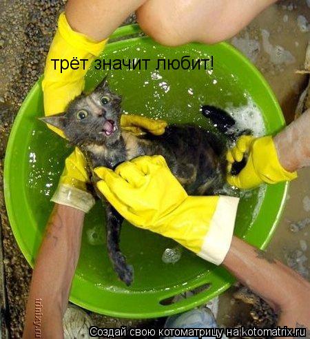 Котоматрица: трёт значит любит!