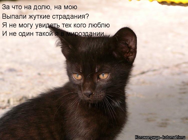 За что на долю, на мою Выпали жуткие страдания? Я не могу увидеть тех кого люблю И не один такой я в ... Котоматрица: За что на долю, на мою Выпали жуткие страдания? Я не могу увидеть тех кого люблю И не один такой я в мироздании...