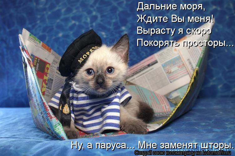 Котоматрица: Дальние моря, Ждите Вы меня! Вырасту я скоро Покорять просторы... Ну, а паруса... Мне заменят шторы.