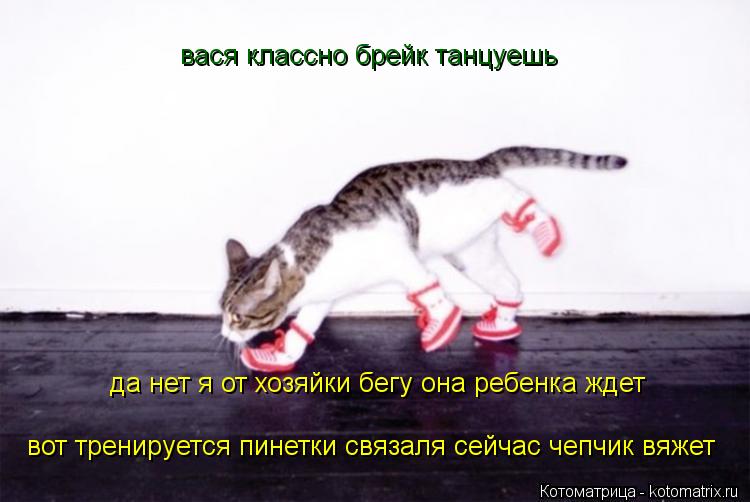 Котоматрица: вася классно брейк танцуешь да нет я от хозяйки бегу она ребенка ждет  вот тренируется пинетки связаля сейчас чепчик вяжет