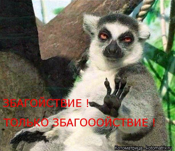 ТОЛЬКО ЗБАГОООЙСТВИЕ ! ЗБАГОЙСТВИЕ !... Котоматрица: ТОЛЬКО ЗБАГОООЙСТВИЕ ! ЗБАГОЙСТВИЕ !