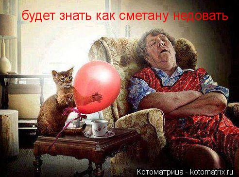 Котоматрица: будет знать как сметану недовать