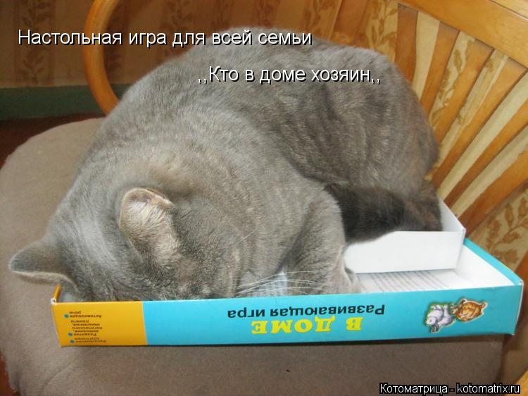 Настольная игра для всей семьи ,,Кто в доме хозяин,,... Котоматрица: Настольная игра для всей семьи ,,Кто в доме хозяин,,