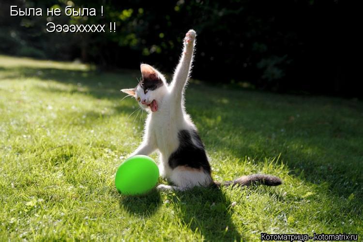 Котоматрица: Была не была ! Ээээххххх !!