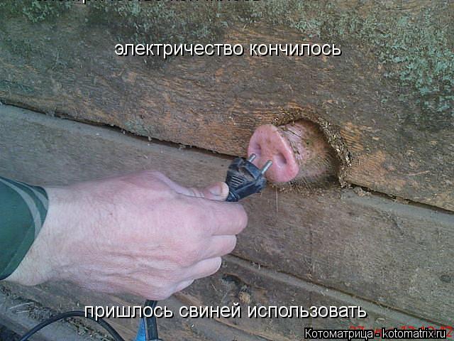 Котоматрица: электричество кончилось электричество кончилось пришлось свиней использовать электричество кончилось