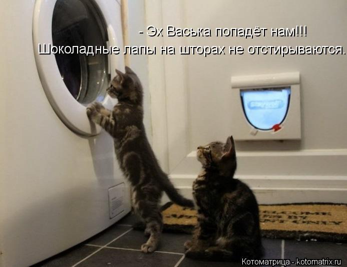 Шоколадные лапы на шторах не отстирываются.... - Эх Васька попадёт нам!!!... Котоматрица: Шоколадные лапы на шторах не отстирываются.... - Эх Васька попадёт нам!!!
