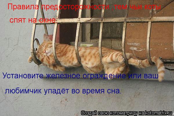 Правила предосторожности ,тем чьи коты спят на окне: Установите железное ограждение или ваш любимчик... Котоматрица: Правила предосторожности ,тем чьи коты спят на окне: Установите железное ограждение или ваш любимчик упадёт во время сна.