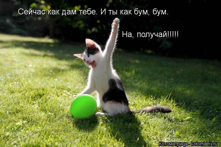 Сейчас как дам тебе. И ты как бум, бум. На, получай!!!!!... Котоматрица: Сейчас как дам тебе. И ты как бум, бум. На, получай!!!!!