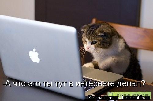 -А что это ты тут в интернете делал?... Котоматрица: -А что это ты тут в интернете делал?