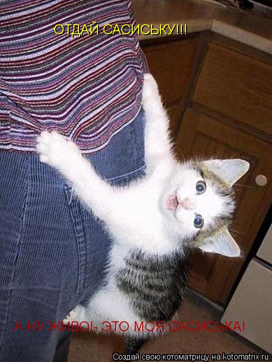 ОТДАЙ САСИСЬКУ!!! А НУ ЖИВО!- ЭТО МОЯ САСИСЬКА!... Котоматрица: ОТДАЙ САСИСЬКУ!!! А НУ ЖИВО!- ЭТО МОЯ САСИСЬКА!