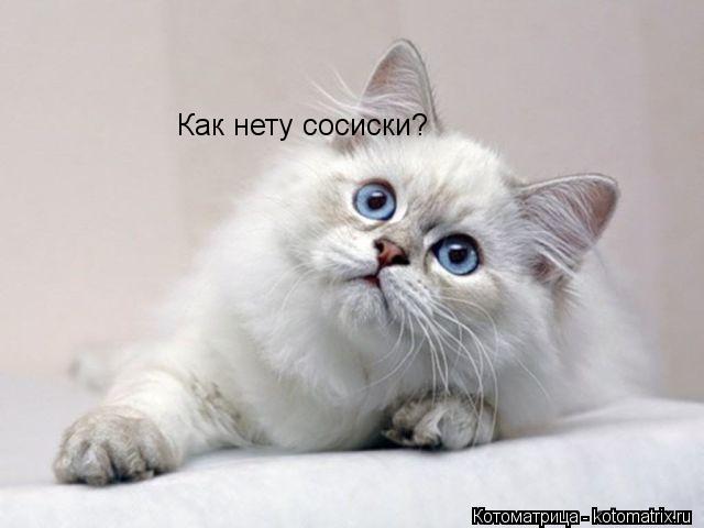 Как нету сосиски?... Котоматрица: Как нету сосиски?