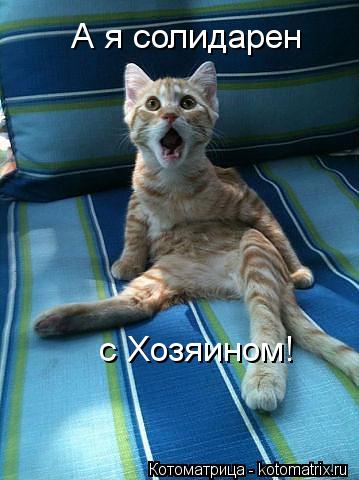 Котоматрица: А я солидарен с Хозяином!
