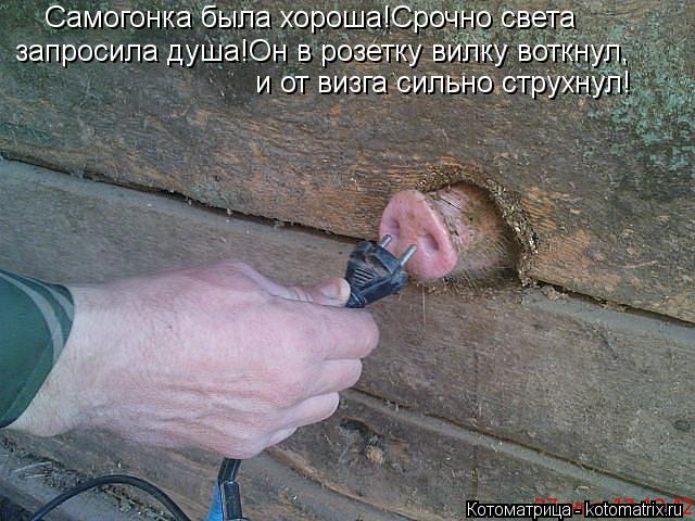 Самогонка была хороша!Срочно света запросила душа!Он в розетку вилку воткнул, и от визга сильно стру... Котоматрица: Самогонка была хороша!Срочно света запросила душа!Он в розетку вилку воткнул, и от визга сильно струхнул!