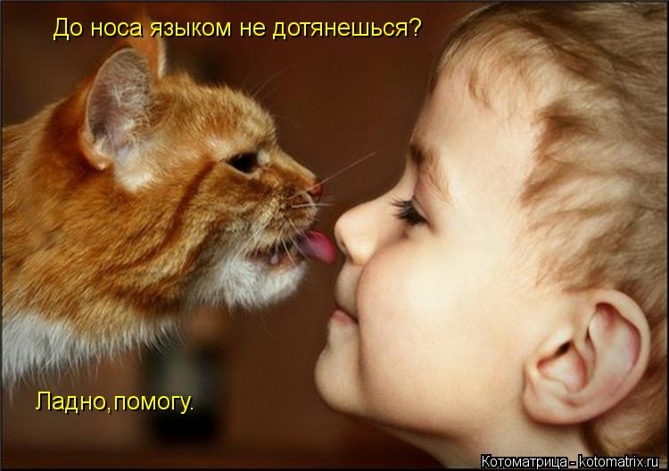 До носа языком не дотянешься? Ладно,помогу.... Котоматрица: До носа языком не дотянешься? Ладно,помогу.