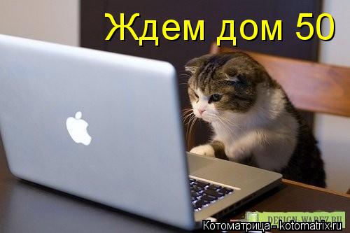 Ждем дом 50... Котоматрица: Ждем дом 50
