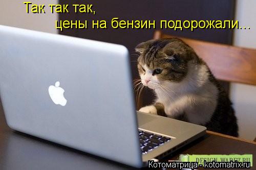 Так так так, цены на бензин подорожали...... Котоматрица: Так так так, цены на бензин подорожали...