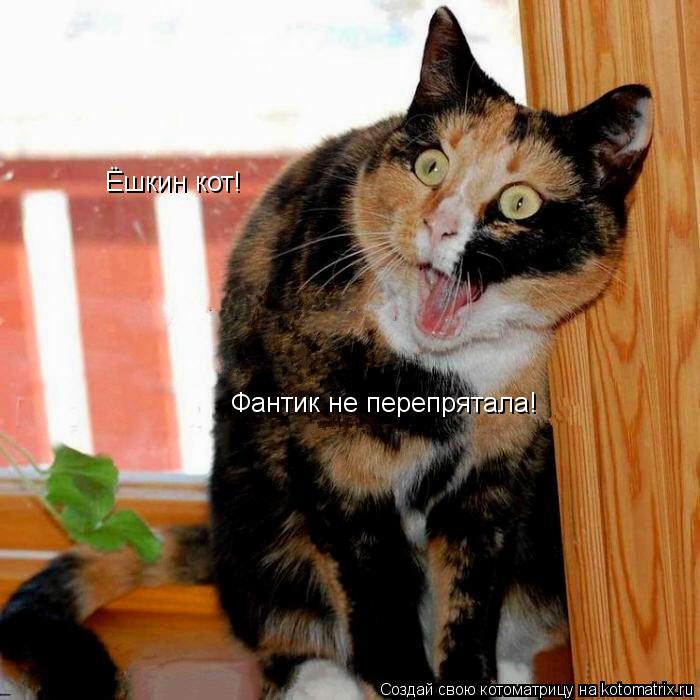 Ёшкин кот! Фантик не перепрятала!... Котоматрица: Ёшкин кот! Фантик не перепрятала!