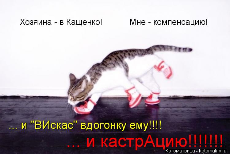 Котоматрица: Хозяина - в Кащенко!           Мне - компенсацию! ... и "ВИскас" вдогонку ему!!!! ... и кастрАцию!!!!!!!