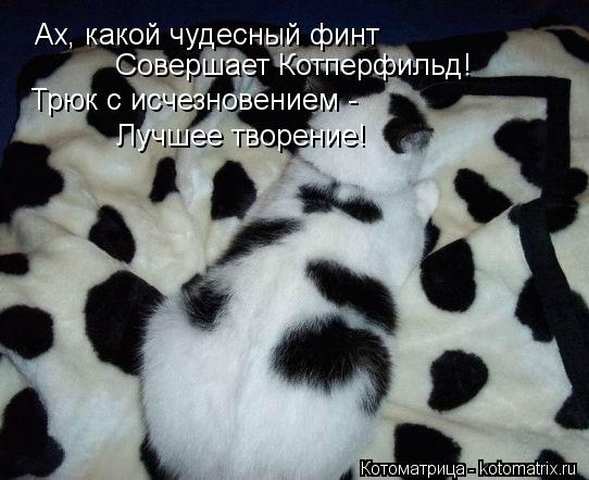 Ах, какой чудесный финт Совершает Котперфильд! Трюк с исчезновением - Лучшее творение!... Котоматрица: Ах, какой чудесный финт Совершает Котперфильд! Трюк с исчезновением - Лучшее творение!