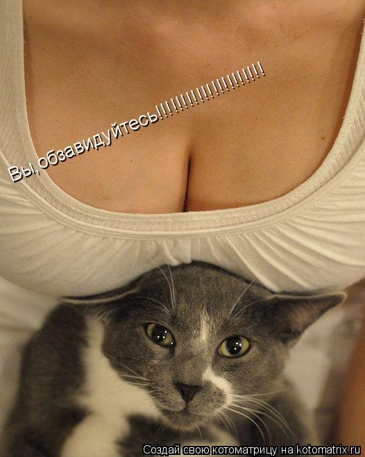 Вы,обзавидуйтесь!!!!!!!!!!!!!!!!!!!!!... Котоматрица: Вы,обзавидуйтесь!!!!!!!!!!!!!!!!!!!!!