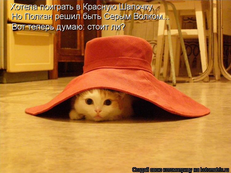 Хотела поиграть в Красную Шапочку... Но Полкан решил быть Серым Волком... Вот теперь думаю: стоит ли?... Котоматрица: Хотела поиграть в Красную Шапочку... Но Полкан решил быть Серым Волком... Вот теперь думаю: стоит ли?