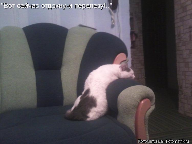 "Вот сейчас отдохну-и перелезу!.."... Котоматрица: "Вот сейчас отдохну-и перелезу!.."