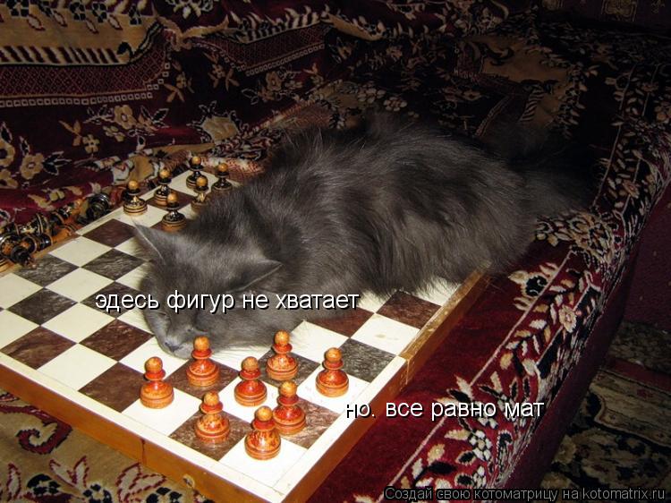 эдесь фигур не хватает но. все равно мат... Котоматрица: эдесь фигур не хватает но. все равно мат