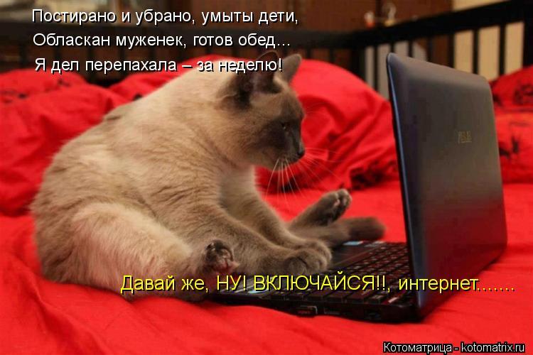 Постирано и убрано, умыты дети, Обласкан муженек, готов обед… Я дел перепахала – за неделю! Давай же,... Котоматрица: Постирано и убрано, умыты дети, Обласкан муженек, готов обед… Я дел перепахала – за неделю! Давай же, НУ! ВКЛЮЧАЙСЯ!!, интернет.......