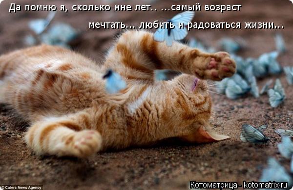 Да помню я, сколько мне лет.. ...самый возраст мечтать... любить и радоваться жизни...... Котоматрица: Да помню я, сколько мне лет.. ...самый возраст мечтать... любить и радоваться жизни...