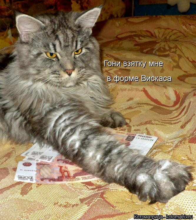 Гони взятку мне в форме Вискаса... Котоматрица: Гони взятку мне в форме Вискаса
