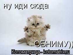 ну иди сюда ОБНИМУ))... Котоматрица: ну иди сюда ОБНИМУ))