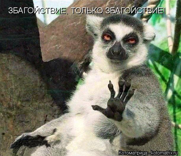 ЗБАГОЙСТВИЕ, ТОЛЬКО ЗБАГОЙСТВИЕ!... Котоматрица: ЗБАГОЙСТВИЕ, ТОЛЬКО ЗБАГОЙСТВИЕ!