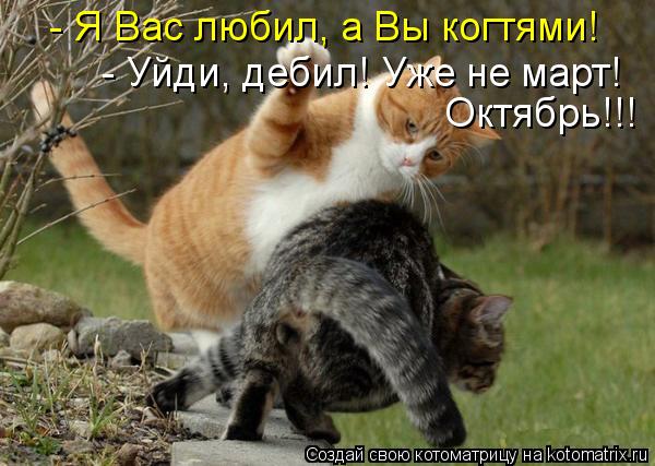 Котоматрица: - Я Вас любил, а Вы когтями! - Уйди, дебил! Уже не март!  Октябрь!!!