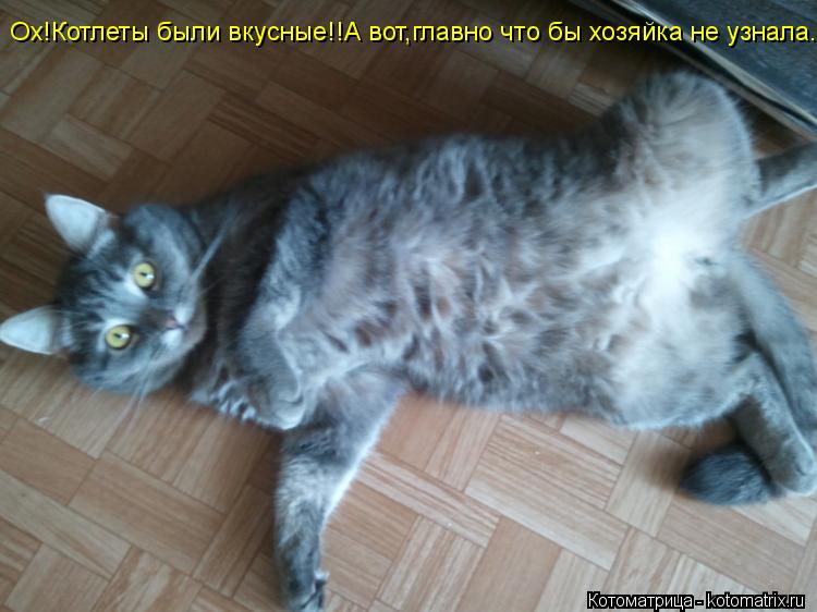 Ох!Котлеты были вкусные!!А вот,главно что бы хозяйка не узнала...... Котоматрица: Ох!Котлеты были вкусные!!А вот,главно что бы хозяйка не узнала...