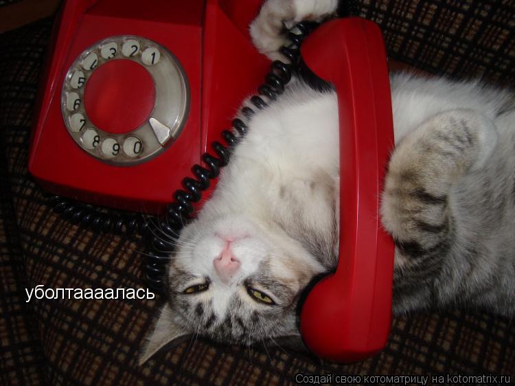 уболтаааалась... Котоматрица: уболтаааалась