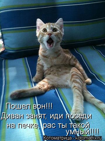 Пошел вон!!! Диван занят, иди поседи на печке, рас ты такой умный!!!!... Котоматрица: Пошел вон!!! Диван занят, иди поседи на печке, рас ты такой умный!!!!