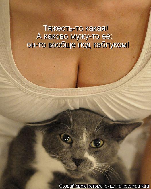Тяжесть-то какая! А каково мужу-то её: он-то вообще под каблуком!... Котоматрица: Тяжесть-то какая! А каково мужу-то её: он-то вообще под каблуком!
