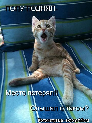 ПОПУ ПОДНЯЛ- Место потерял!! Слышал о таком?... Котоматрица: ПОПУ ПОДНЯЛ- Место потерял!! Слышал о таком?