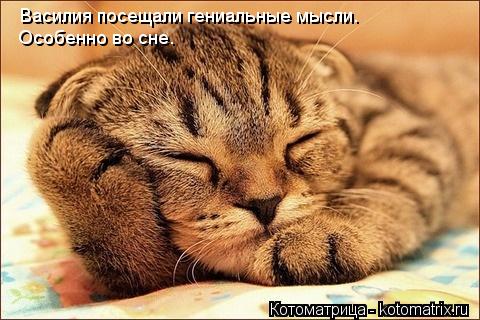 Василия посещали гениальные мысли. Особенно во сне.... Котоматрица: Василия посещали гениальные мысли. Особенно во сне.