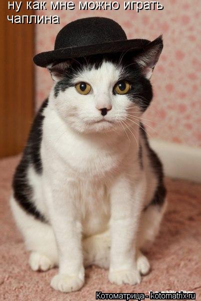 ну как мне можно играть чаплина... Котоматрица: ну как мне можно играть чаплина