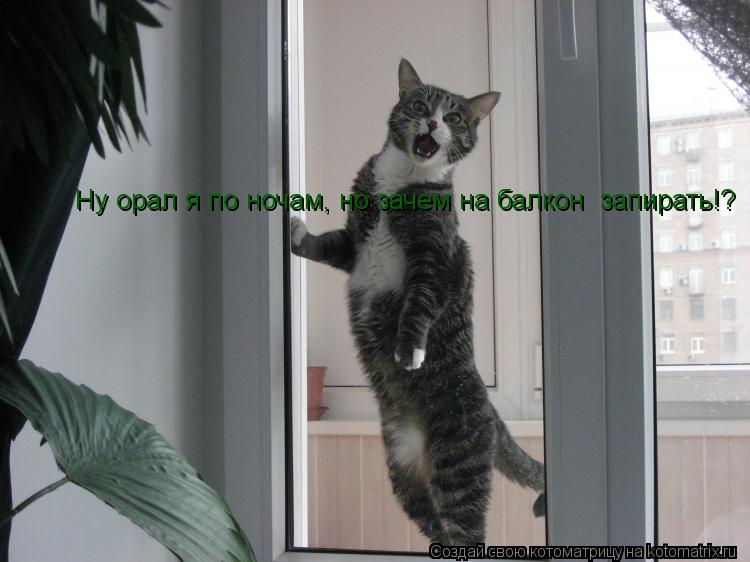 Ну орал я по ночам, но зачем на балкон запирать!?... Котоматрица: Ну орал я по ночам, но зачем на балкон запирать!?