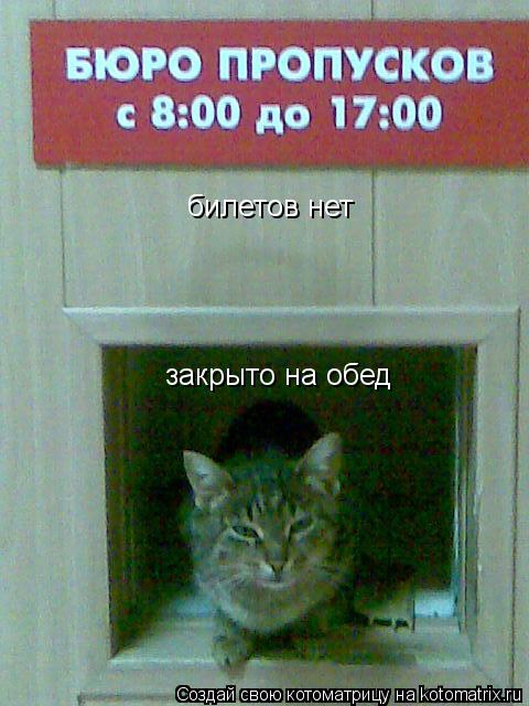 билетов нет закрыто на обед... Котоматрица: билетов нет закрыто на обед