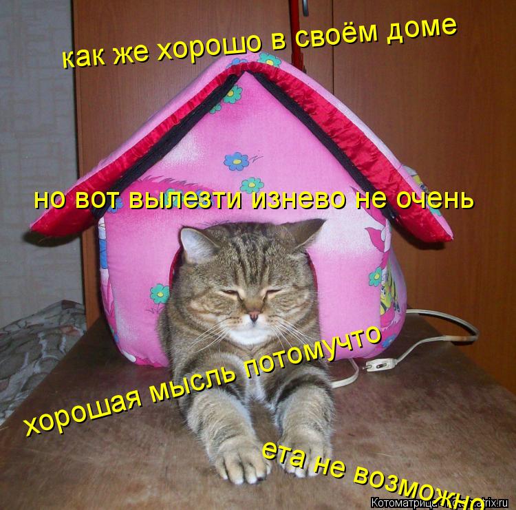 как же хорошо в своём доме но вот вылезти изнево не очень хорошая мысль потомучто ета не возможно... Котоматрица: как же хорошо в своём доме но вот вылезти изнево не очень хорошая мысль потомучто ета не возможно