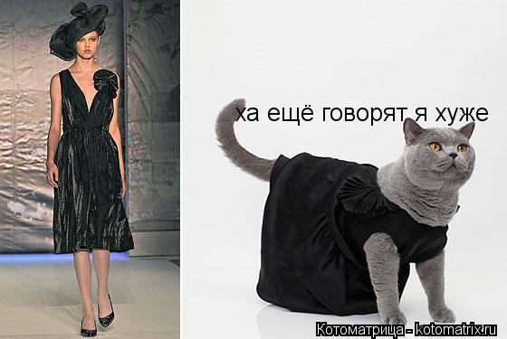 ха ещё говорят я хуже... Котоматрица: ха ещё говорят я хуже