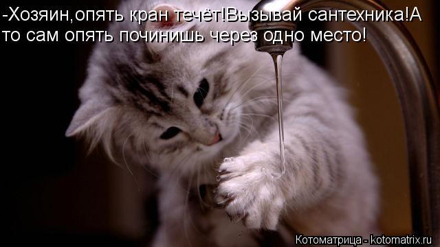 -Хозяин,опять кран течёт!Вызывай сантехника!А то сам опять починишь через одно место!... Котоматрица: -Хозяин,опять кран течёт!Вызывай сантехника!А то сам опять починишь через одно место!