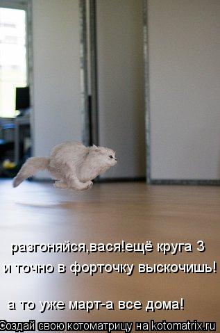 и точно в форточку выскочишь! разгоняйся,вася!ещё круга 3 а то уже март-а все дома!... Котоматрица: и точно в форточку выскочишь! разгоняйся,вася!ещё круга 3 а то уже март-а все дома!