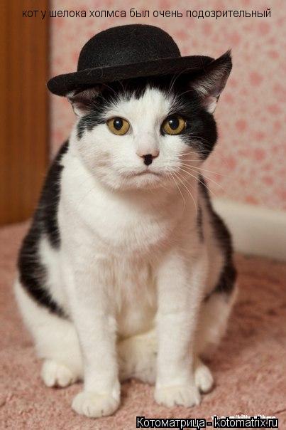 кот у шелока холмса был очень подозрительный... Котоматрица: кот у шелока холмса был очень подозрительный
