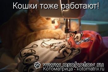 Кошки тоже работают!... Котоматрица: Кошки тоже работают!